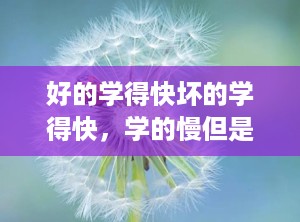 好的学得快坏的学得快，学的慢但是学会后很厉害