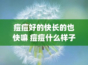 痘痘好的快长的也快嘛 痘痘什么样子说明快好了