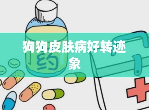 狗狗皮肤病好转迹象