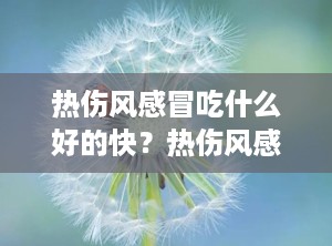 热伤风感冒吃什么好的快？热伤风感冒吃什么食物好得比较快