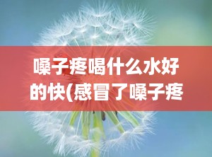 嗓子疼喝什么水好的快(感冒了嗓子疼喝点什么好泡什么茶解喉咙痛)