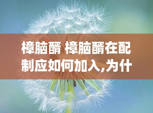 樟脑醑 樟脑醑在配制应如何加入,为什么