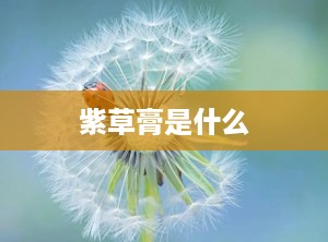 紫草膏是什么