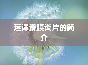 远洋滑膜炎片的简介